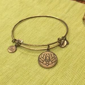 Lotus Alex and ani